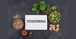 Fitosterina