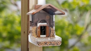 Bird Feeder Cameras